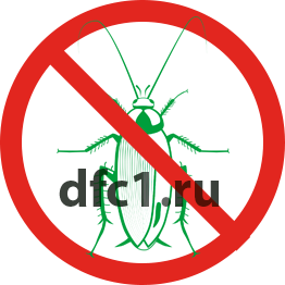 Уничтожение тараканов в Самаре